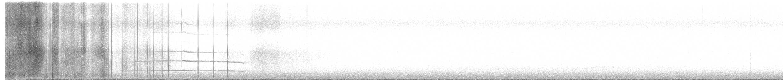 sýc americký - ML646337306