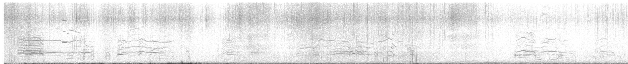 Ring-billed Gull - ML646337387