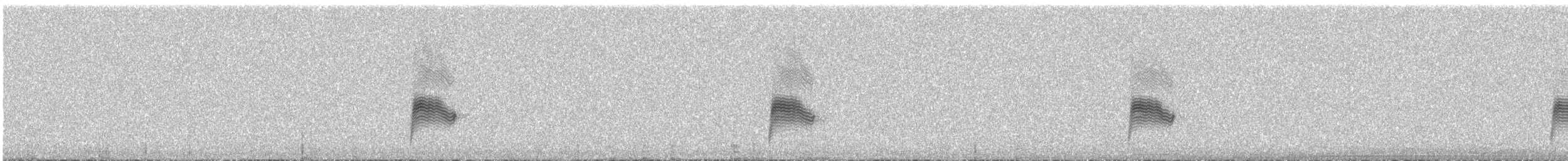 תחמס אמריקני - ML646337405