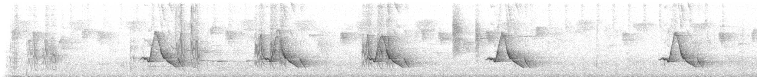 Black-faced Monarch - ML646337418