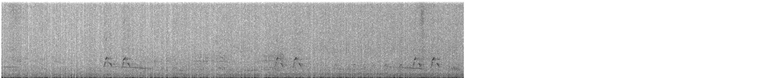 Діамантниця велика - ML646337648