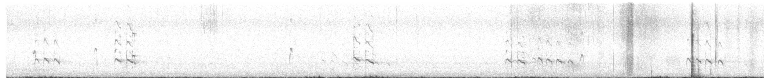 Коловодник строкатий - ML646337799