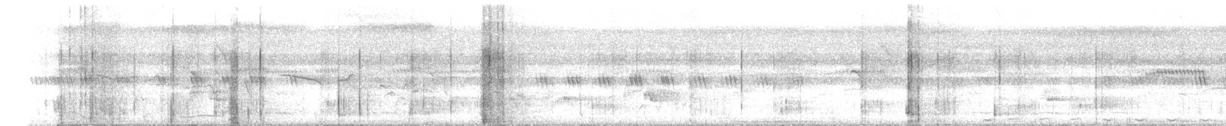 Greater Coucal - ML646337944