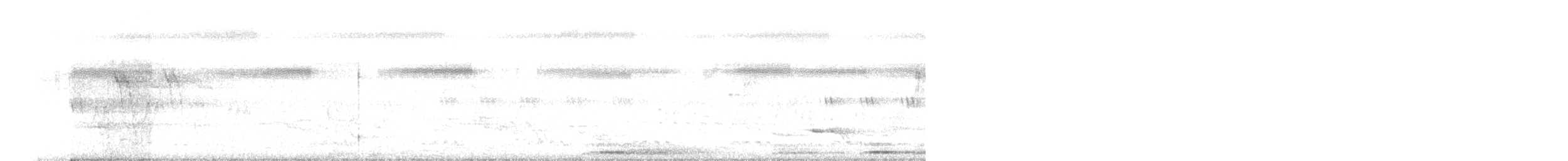 White-browed Wagtail - ML646338077