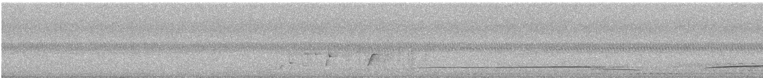 Bush Thick-knee - ML646338121