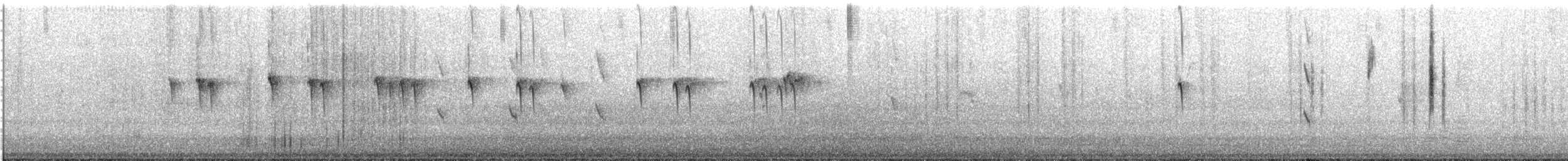 Rock Parrot - ML646338156