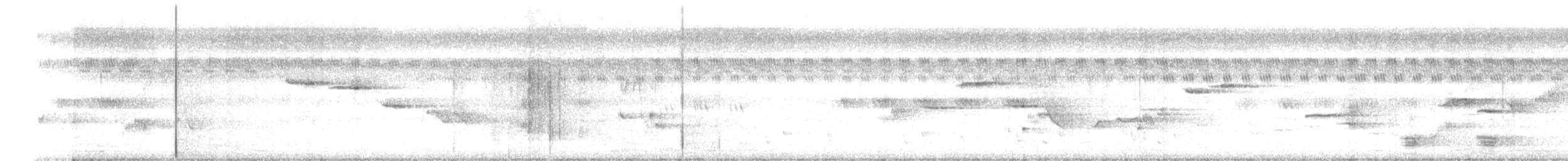 Bronzed Drongo - ML646338157