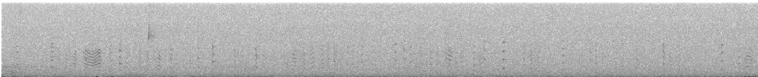 Red-breasted Nuthatch - ML646338158