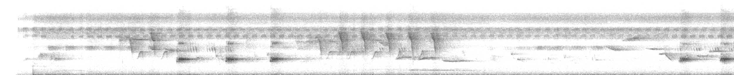 Greater Racket-tailed Drongo - ML646338169