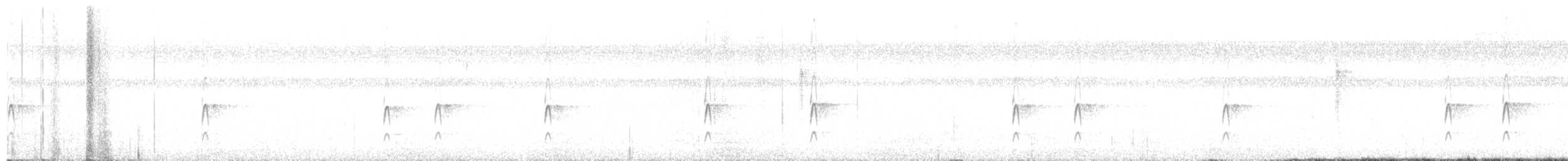 Couch's Kingbird - ML646338175