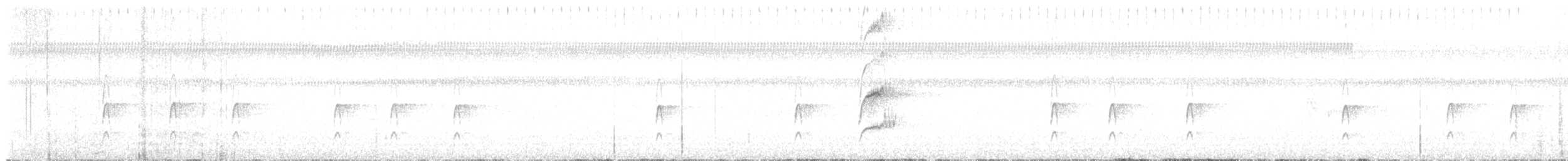 Couch's Kingbird - ML646338176