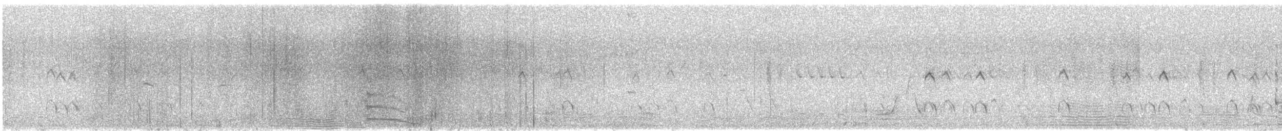 Black Swan - ML646338203