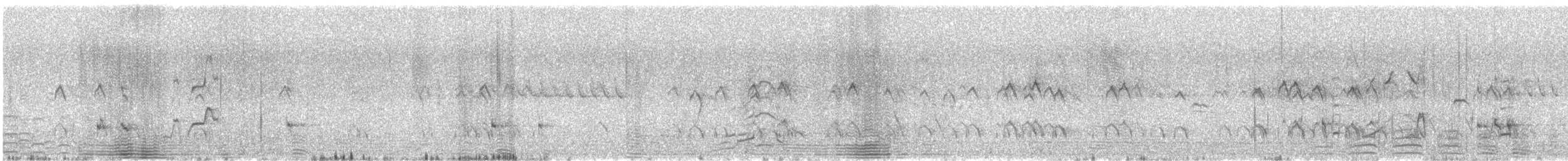 Gray Teal - ML646338205