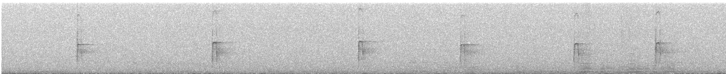 Hairy Woodpecker - ML646338231