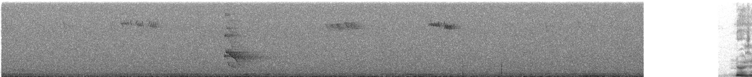 Carpintero Escapulario - ML646338247