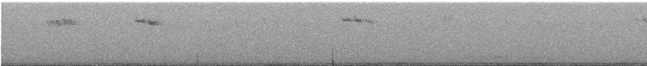 Reyezuelo Sátrapa - ML646338253