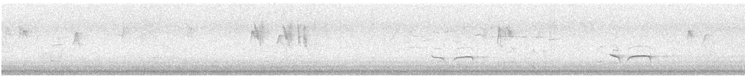 Brown Quail - ML646338363