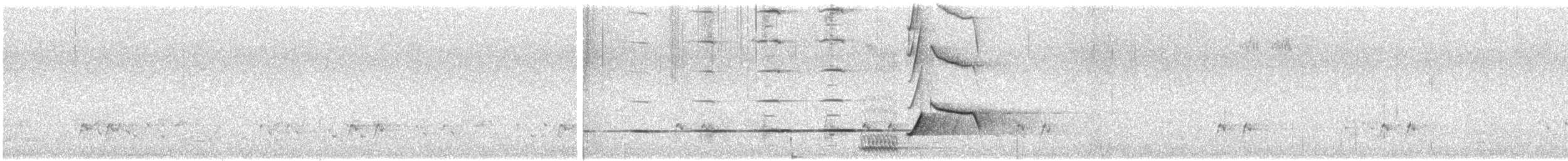 ハイイロモズツグミ - ML646338586