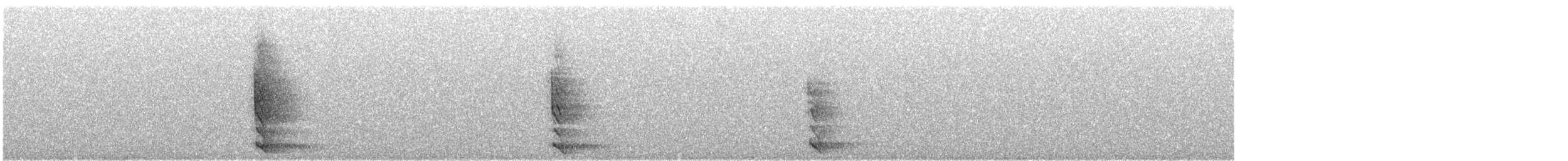 Boreal Owl (Tengmalm's) - ML646338694