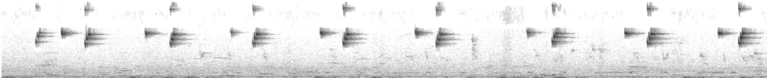 Zorzal Roquero - ML646338806