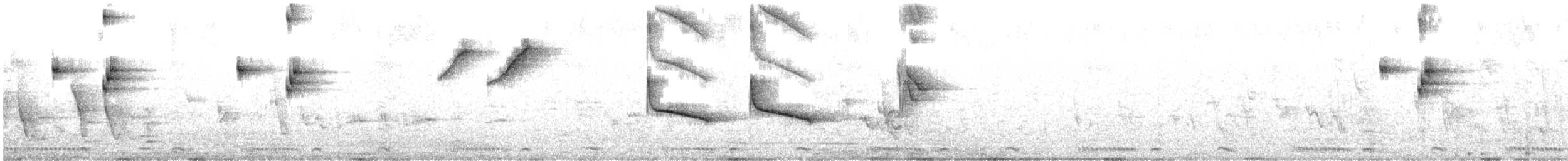 Zorzal Roquero - ML646338808