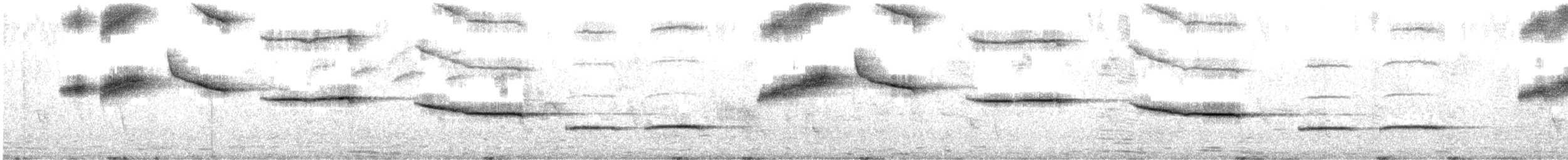 Zorzal Roquero - ML646338809