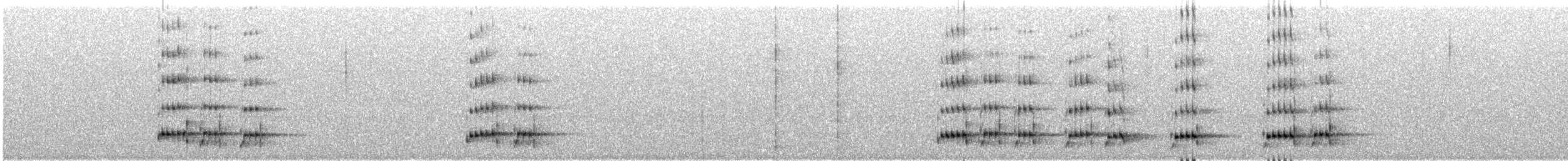 Black Woodpecker - ML646338861