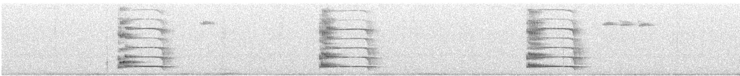 Black Woodpecker - ML646338957