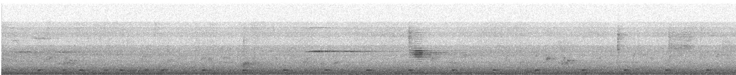 Coppersmith Barbet - ML646339063