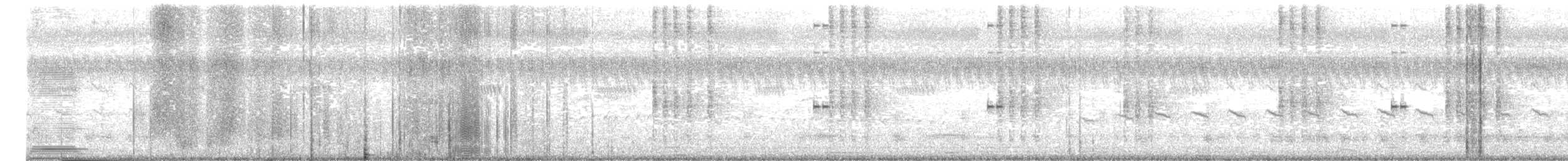 アリスイ - ML646339278