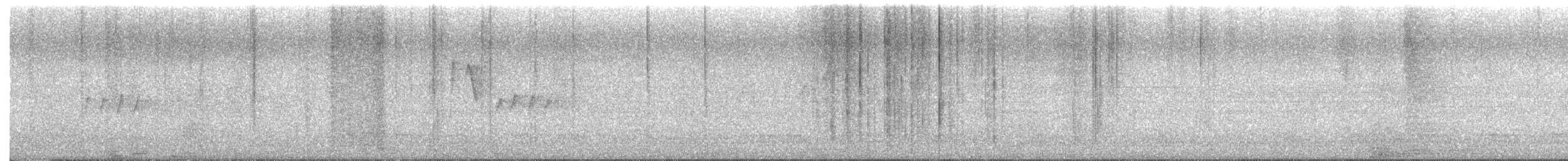 Loten's Sunbird - ML646339384