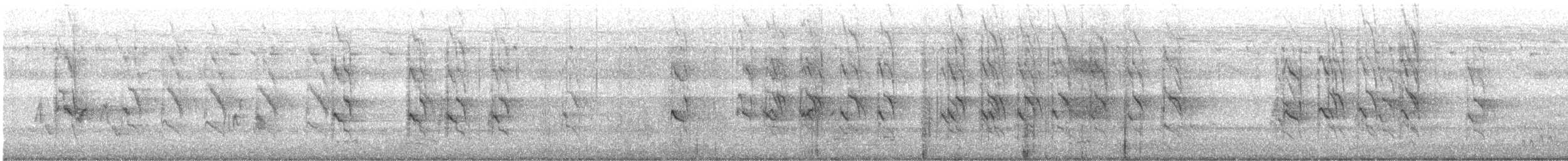 Yeşil Papağan - ML646339606