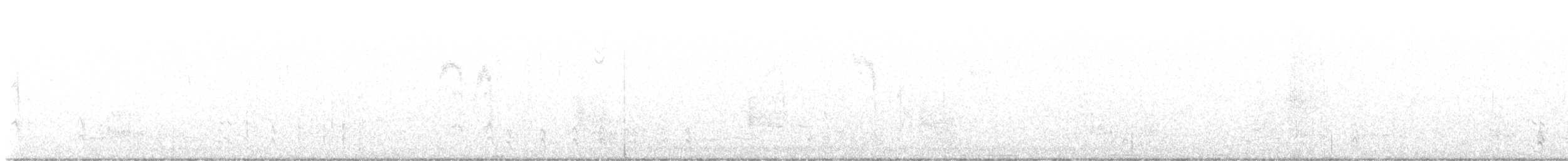 Merle d'Amérique - ML646339777