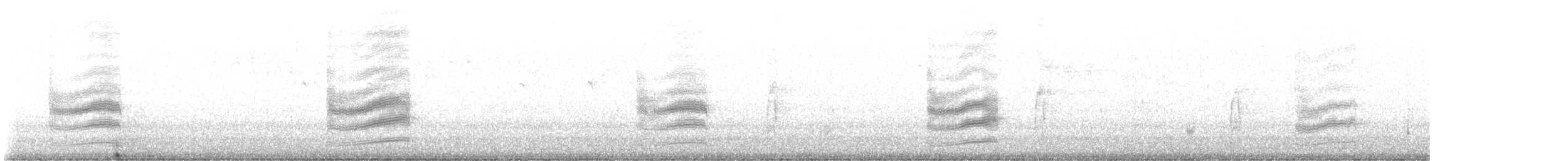 Tohi tacheté - ML646339806