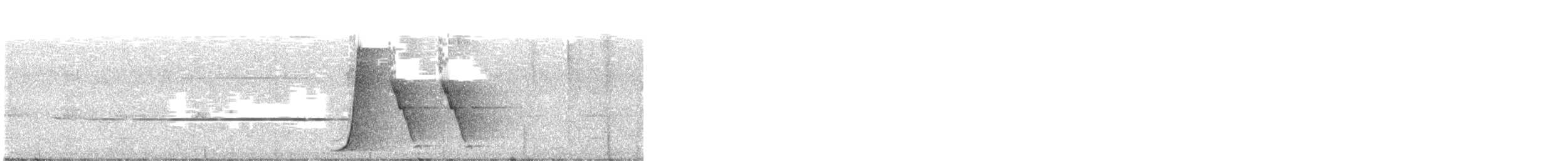 kosovec zvučnohlasý - ML646340490