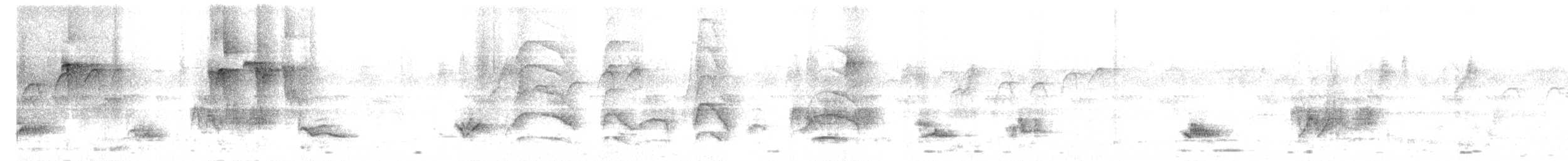 Rahmbauchdrossel - ML646340535