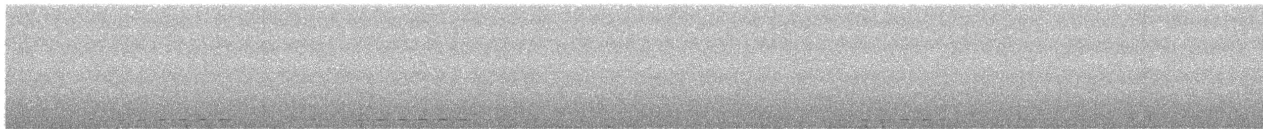 Boreal Owl - ML646340571