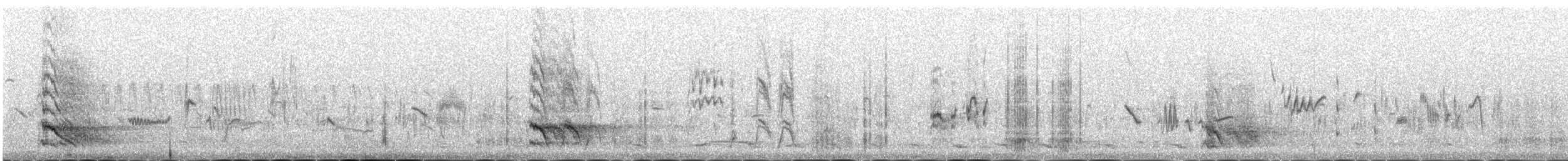 Галка альпійська червонодзьоба - ML646341826