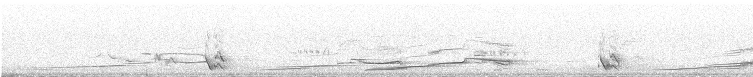 Галка альпійська червонодзьоба - ML646341827