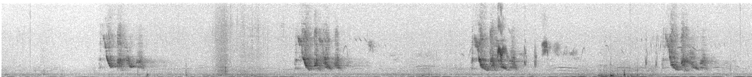 Галка альпійська червонодзьоба - ML646341828