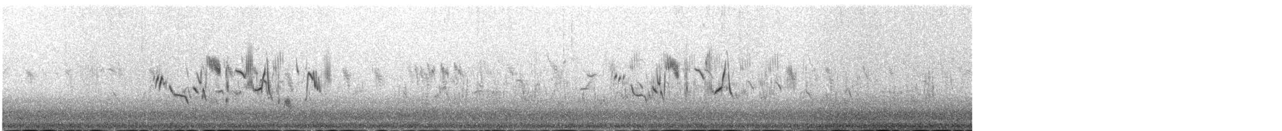 Siberian Stonechat (Siberian) - ML646341874