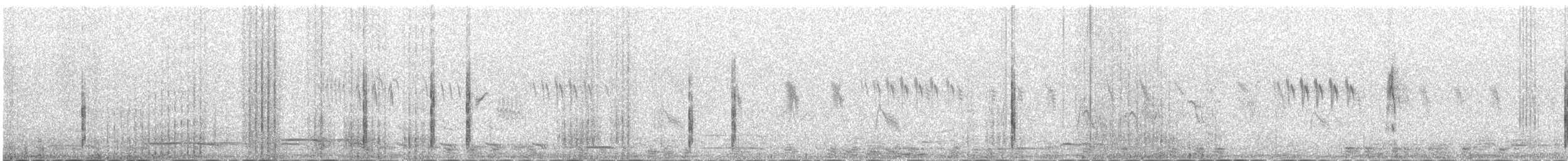 Siberian Stonechat (Siberian) - ML646341877