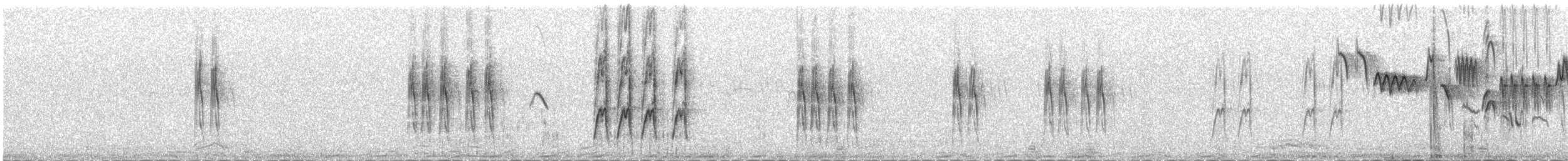 Water Pipit - ML646341880