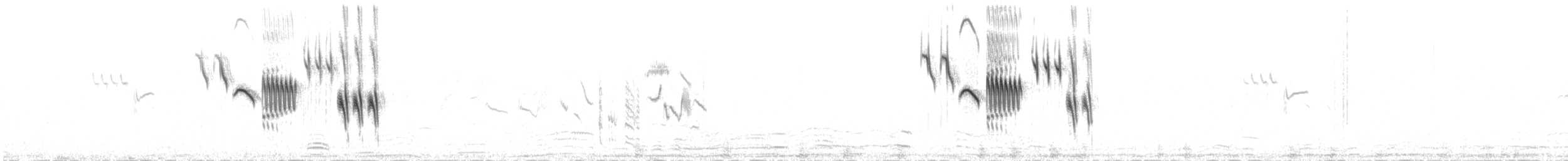 hvitbrynjernspurv - ML646341887