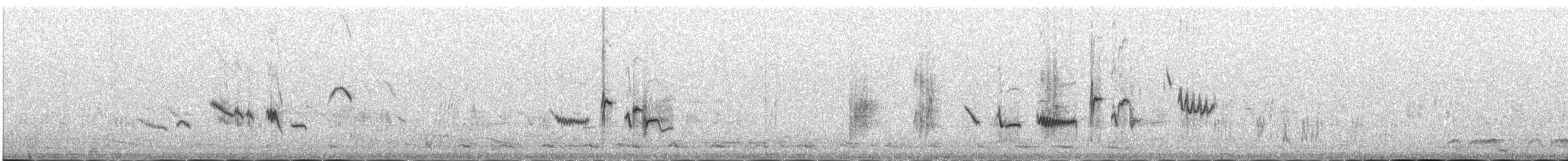 hvitvingerødstjert - ML646341900