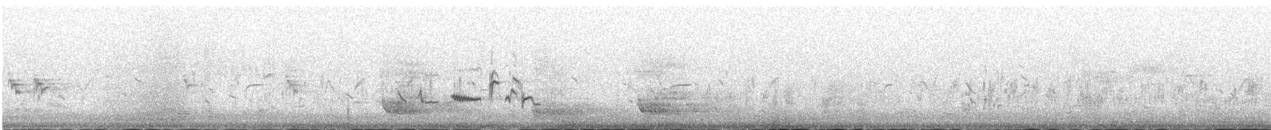 hvitvingerødstjert - ML646341902