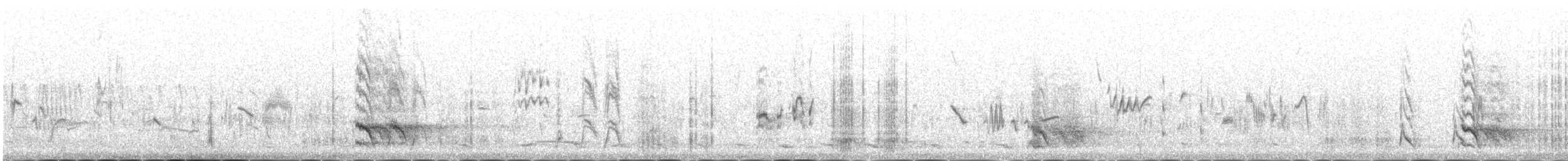 hvitvingerødstjert - ML646341903