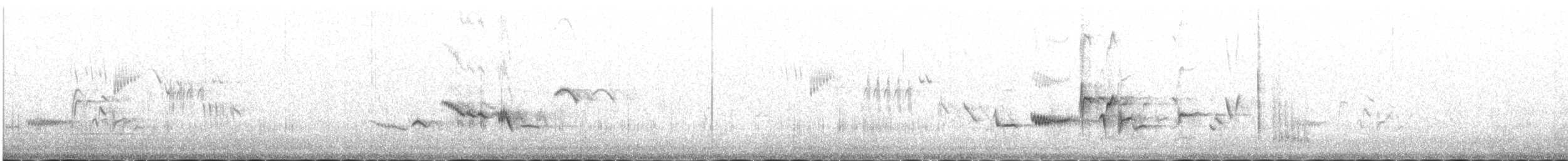 hvitvingerødstjert - ML646341904