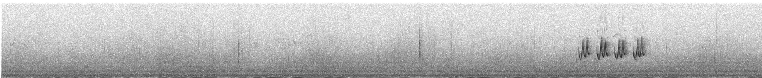 עלווית כהה - ML646341951