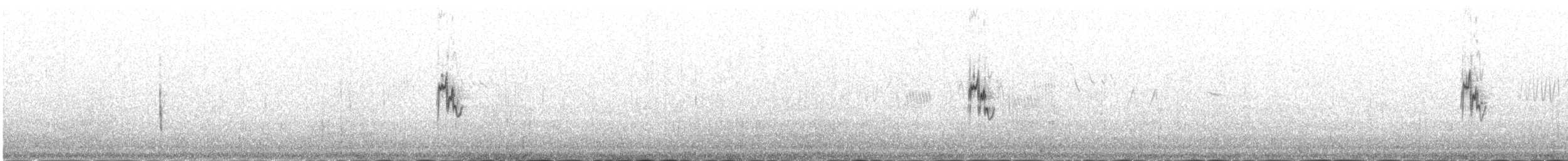 עלווית כהה - ML646341953